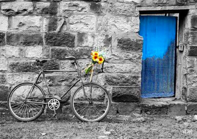 DE111 Wall décor art photographic on canvas bicycle and sunflowers by blue door
